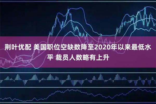 荆叶优配 美国职位空缺数降至2020年以来最低水平 裁员人数略有上升