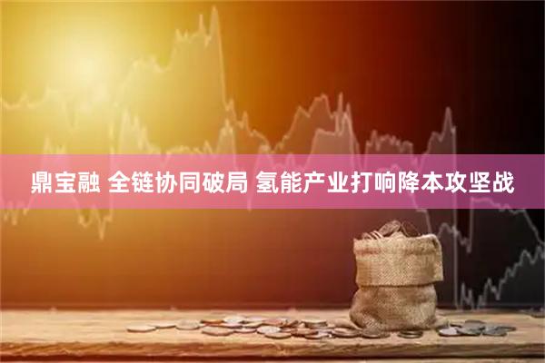 鼎宝融 全链协同破局 氢能产业打响降本攻坚战