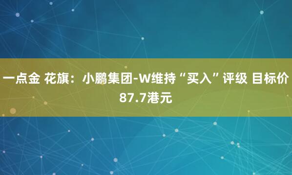 一点金 花旗：小鹏集团-W维持“买入”评级 目标价87.7港元