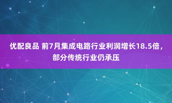 优配良品 前7月集成电路行业利润增长18.5倍，部分传统行业仍承压